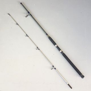 Affordable surf casting rod daiwa For Sale, Sports Equipment