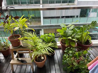 (Category: ) located in . Submitted by ymara (Listing ID 1293814013, Image 1). Description: .