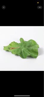 （分類：）位於 。 由 wupak35 提交（商品編號 1290783416，圖片 1）。簡介： 。