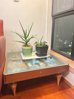 （分類：）位於 。 由 kat_00 提交（商品編號 1290762979，圖片 1）。簡介： 。