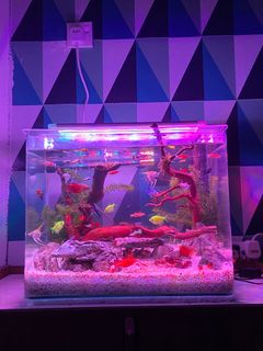 (Category: ) located in . Submitted by prelovedbysyadr (Listing ID 1290776944, Image 1). Description: .