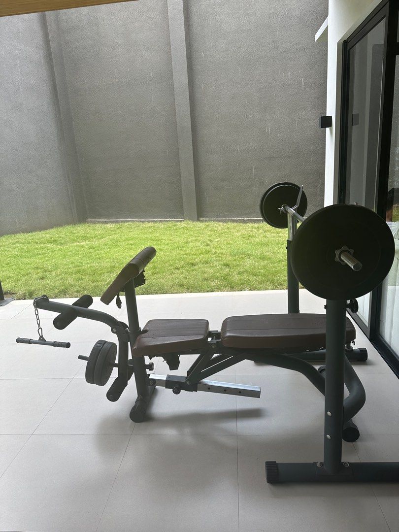 Berwyn weight lifting bench outlet