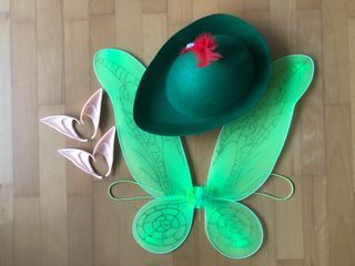 Decluttering!!! Peter Pan Costume Set  for Haloween and Costume Party