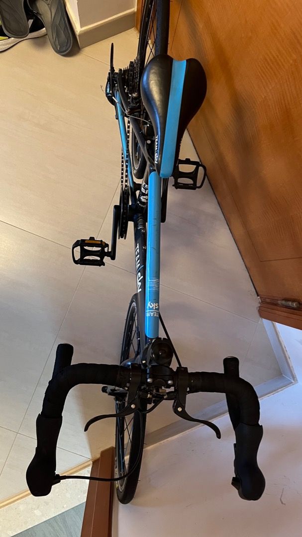 Frog 58 team sky hot sale