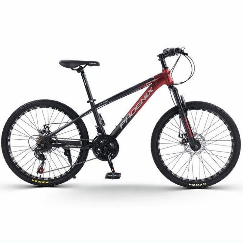 Mountain Bike 24 Speed Men s and Women s Cross country Double Shock Absorbing Mountain Bike Gradient Speed Bike Youth. Sports Equipment Bicycles Parts Bicycles on Carousell