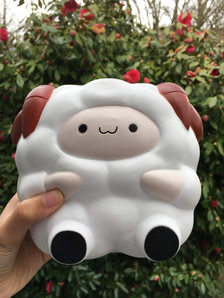 Squishy pet pet zoo new arrivals