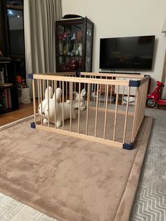 （分類：）位於 。 由 mtlt140 提交（商品編號 1290639218，圖片 1）。簡介： 。