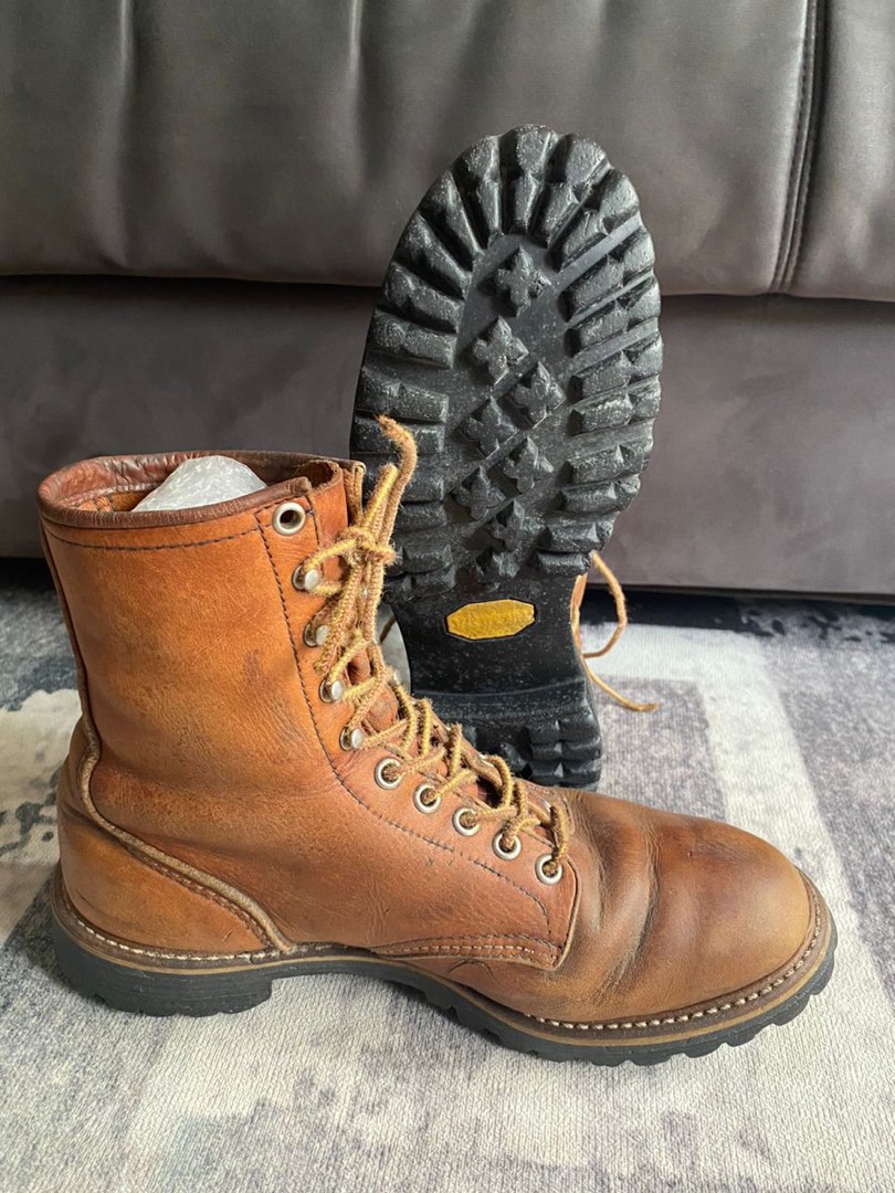 Irish new arrivals setter loggers