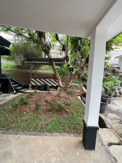 (Kategori: ) berada di . Dikirim oleh iselleverythingjkt (ID iklan 1290717384, Gambar 1). Deskripsi: .