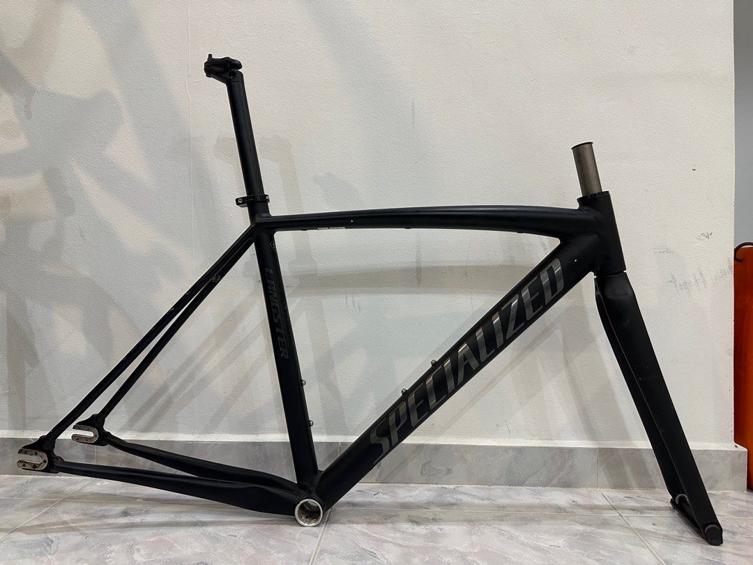 Specialized langster 10 2025 year anniversary