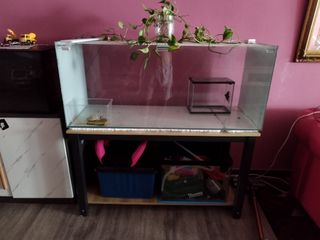 (Category: ) located in . Submitted by hermanmamat (Listing ID 1294073572, Image 1). Description: .