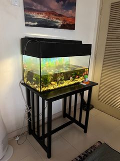 (Category: ) located in . Submitted by sffiaaa (Listing ID 1293960339, Image 1). Description: .