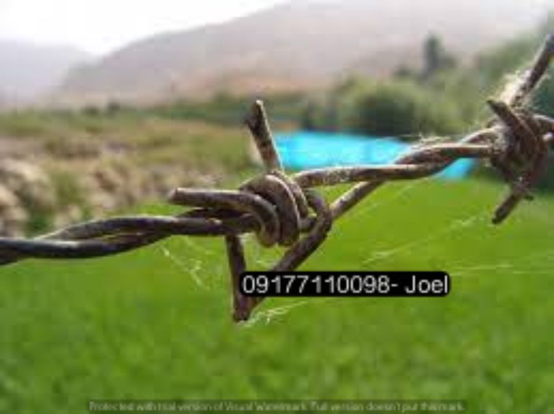 BARBED WIRE (Category: Construction & Building Materials) located in Manila. Submitted by joeyroque09 (Listing ID 1293996851, Image 3). Description: BARBED WIRE.