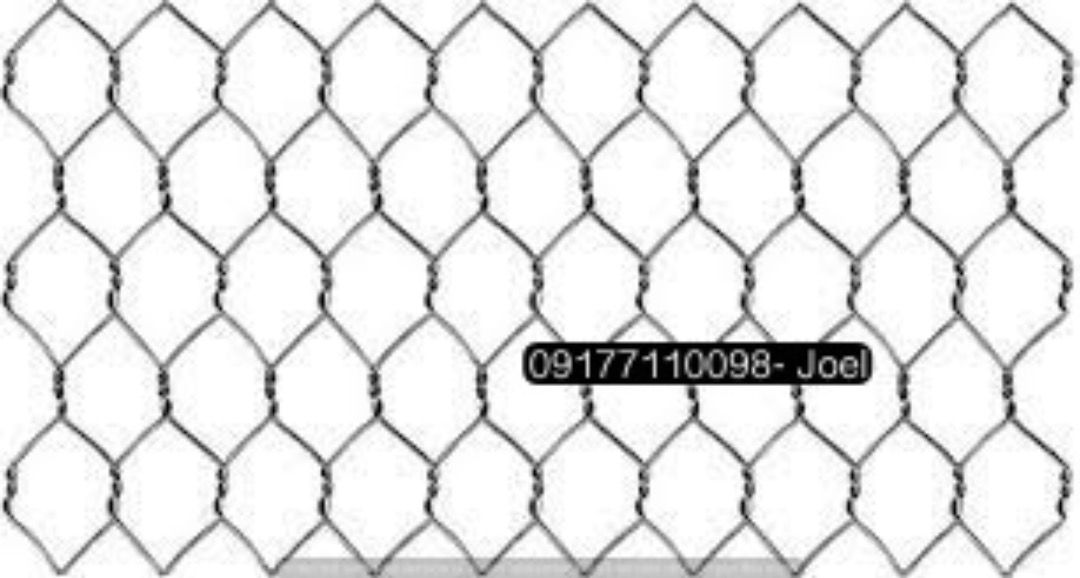 CHICKEN WIRE (Category: Construction & Building Materials) located in Manila. Submitted by joeyroque09 (Listing ID 1293994001, Image 2). Description: CHICKEN WIRE.