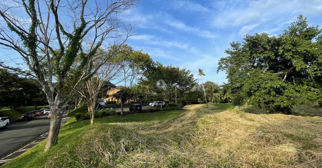 (Category: ) located in . Submitted by jpborjarealestatebroker (Listing ID 1264633934, Image 1). Description: .