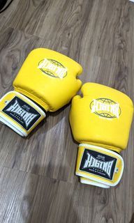 SRS Gloves - Muay Thai / Boxing