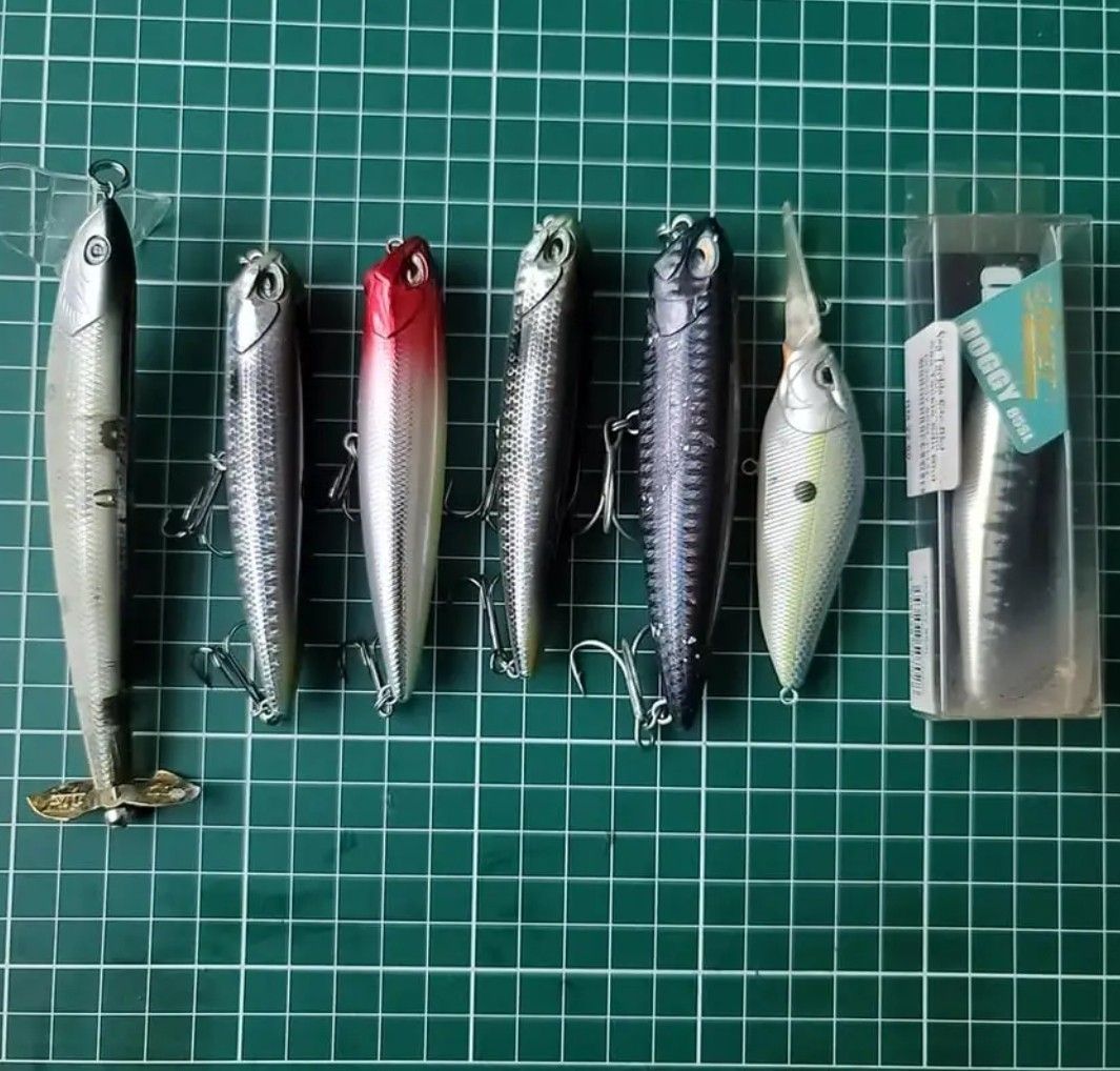 Top water lure, Sports Equipment, Fishing on Carousell
