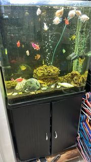 (Category: ) located in . Submitted by barnabas91 (Listing ID 1294229404, Image 1). Description: .
