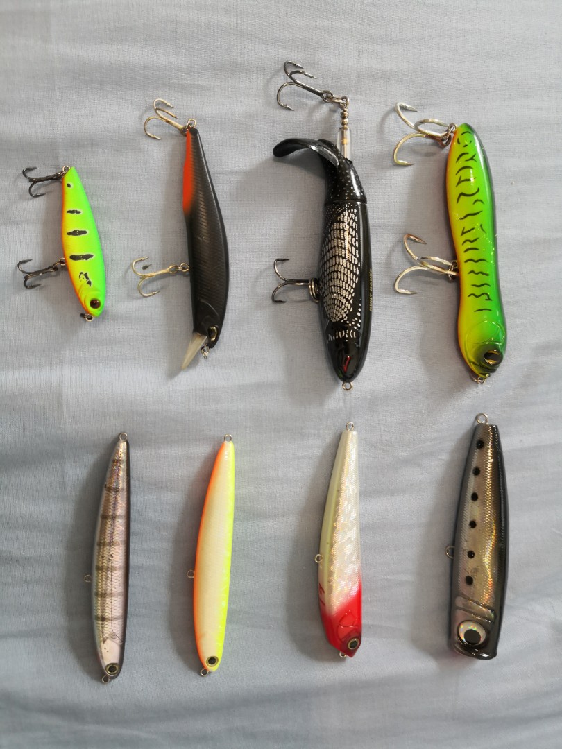 Walk the dog lure, Sports Equipment, Fishing on Carousell