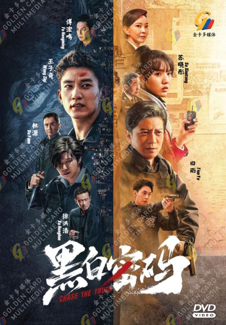Chase the Truth 黑白密码 HD Recording China TV Drama DVD Subtitle English  Chinese RM99.90