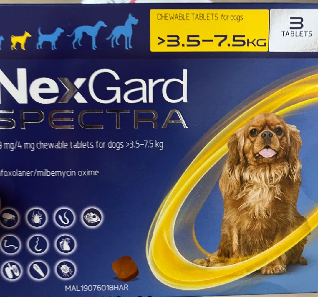 Dog heartworm prevention, Pet Supplies, Pet Food on Carousell