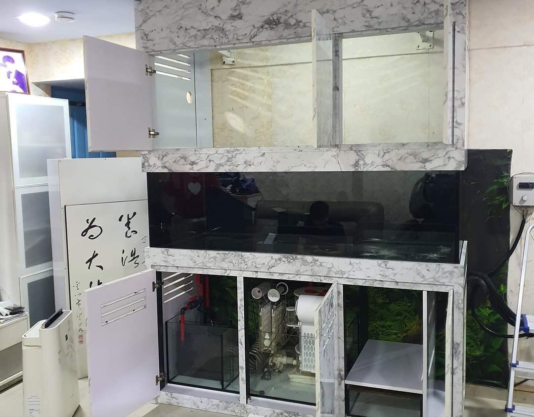 Fish Tank / Marine Tank / Freshwater Tank / Custom Tank / Ready Made Tank / Rock Scape / Tank Maintainance / Tank Equipment (Category: Homes & Other Pet Accessories) located in Singapore. Submitted by bingo_aquatic_solutions (Listing ID 1290492156, Image 2). Description: Unleash Your Aquatic Vision: Transform your dream aquarium into reality with BinGO Aquatic! We offer a complete range of aquarium solutions, catering to both custom tank enthusia