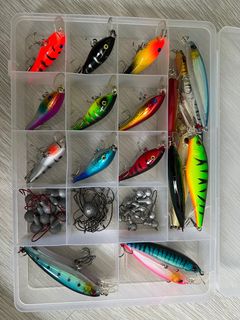 Fishing Lures Set Rapala Bagley's Luhr Jensen, Sports Equipment, Fishing on  Carousell