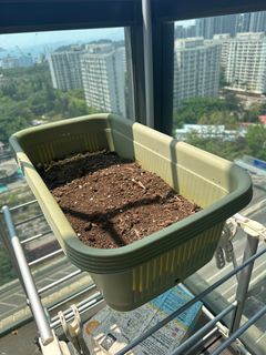 （分類：）位於 。 由 jc9jc9 提交（商品編號 1294140282，圖片 1）。簡介： 。