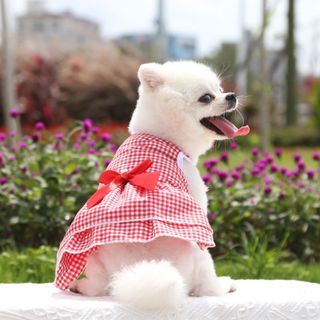 Girl Dog Dresses for Special Events/Parties