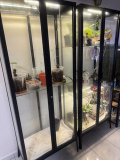 (Category: ) located in . Submitted by baggiobaggio (Listing ID 1294197888, Image 1). Description: .