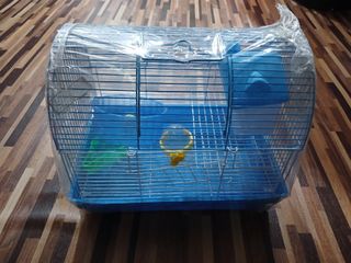 (Category: ) located in . Submitted by azizikimi (Listing ID 1294138152, Image 1). Description: .