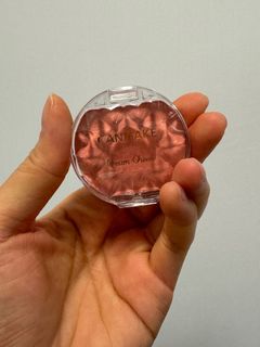 Canmake 夢幻胭脂膏  (珍珠系列)  P04 珊瑚杏色 Cream Cheek (Pearl Type)  P04 Apricot Shell64244114770306110