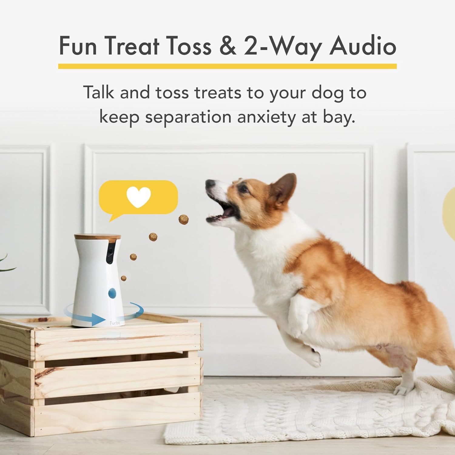 Furbo treat recommendation store