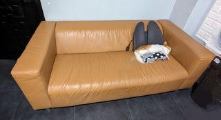 （分類：）位於 。 由 calvin240sx 提交（商品編號 1293287564，圖片 1）。簡介： 。