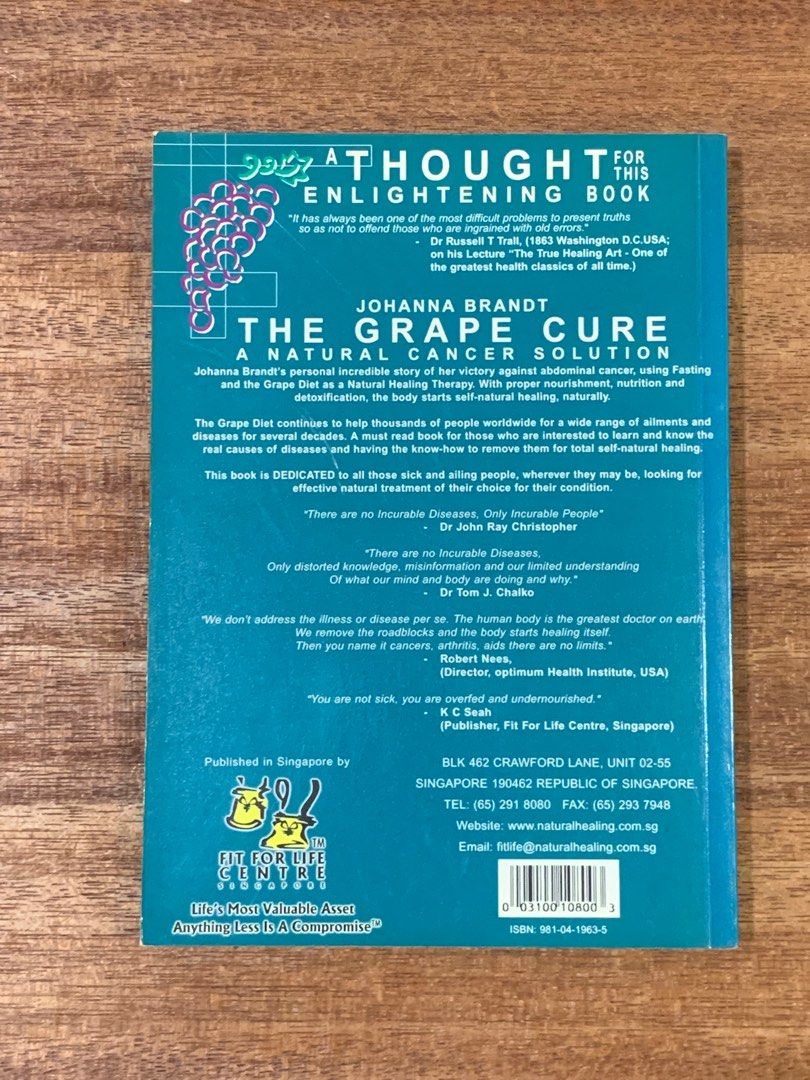 JOHANNA BRANDT ; THE GRAPE CURE, Hobbies & Toys, Books & Magazines, Storybooks on Carousell