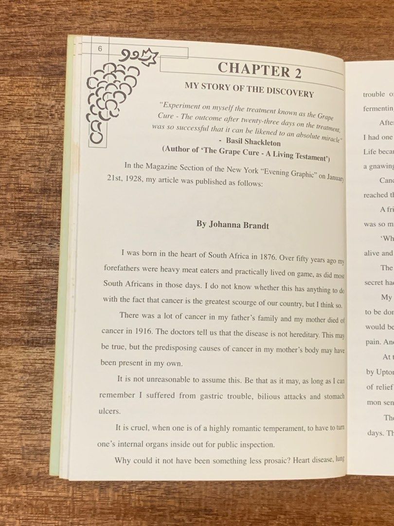 JOHANNA BRANDT ; THE GRAPE CURE, Hobbies & Toys, Books & Magazines, Storybooks on Carousell