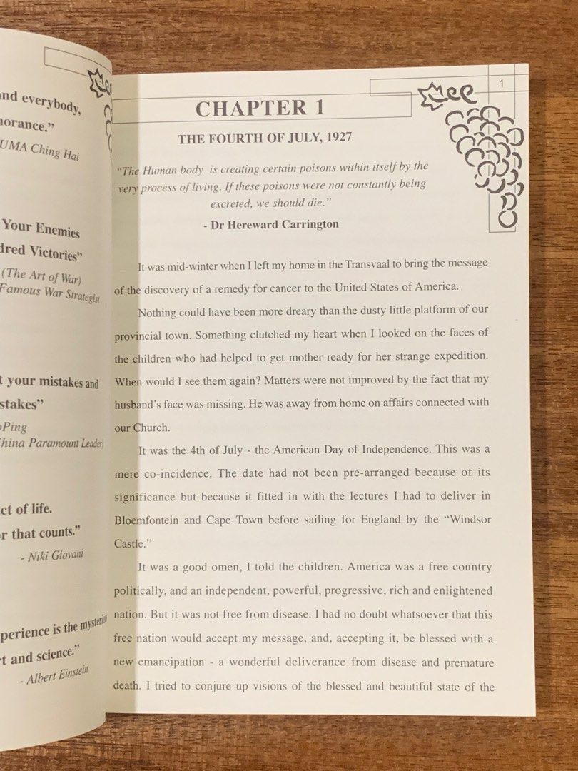 JOHANNA BRANDT ; THE GRAPE CURE, Hobbies & Toys, Books & Magazines, Storybooks on Carousell