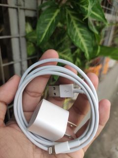 Preloved Original iPhone Charger 5watts set