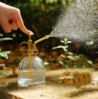 V-Ridge Watering Spray Pump Bottle 200ml - Gold Lid / Silver lid