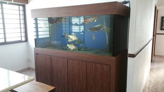 (Category: ) located in . Submitted by mfshah33e (Listing ID 1294462918, Image 1). Description: .