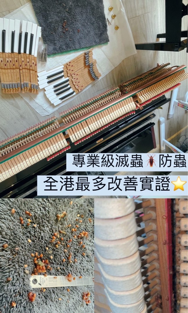 Professional tuning 🎹 Piano moving · Piano cleaning 🚚 (Insect prevention / pest control service / renovation / piano inspection. Inspection. Free. Maintenance. Repair. Unlocking. Not car-related. Beauty. Nail art. Piano Queen. Delivery. Piano books. Accompaniment. Hydraulic. iPhone.15 .android. Kawai.Yamaha.Piano inspection.U1.Yus. Flower shop. Flowers. Driving lessons. Instructor. Tutoring62859980347138111