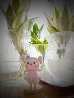 （分類：）位於 。 由 violescent_wish 提交（商品編號 1294483640，圖片 1）。簡介： 。