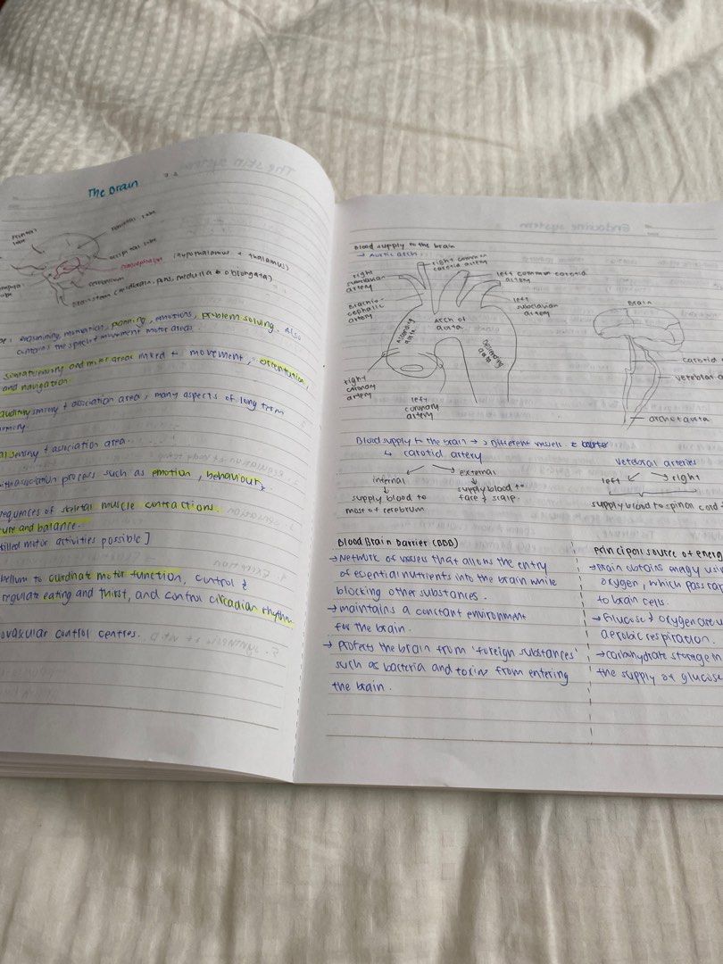 IB SEHS HL NOTES Fully Detailed From Topic 1 To 13 Including Options ib-sehs-hl-notes-fully-detailed-from-topic-1-to-13-including-options