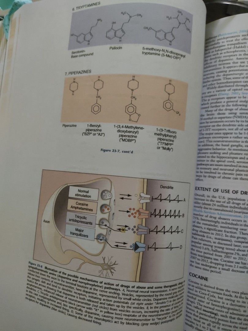 Medical Technology / MedTech Books Bundle (Category: Textbooks) located in Mabalacat. Submitted by regardlessk (Listing ID 1294540800, Image 3). Description: Preloved Medical Technology / MedTech Books (Coloured) Bundle 1. Henry's Clinical Diagnosis and Management by Laboratory Methods (23rd Edition, 2 parts) 2. Bishop Clinical Chemistry Principles, Techniques, Correlations (7th Edition) 3. Mahon Textbook of Diagnostic Microbiology (6th Edition, 