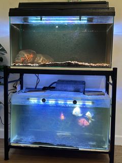 (Category: ) located in . Submitted by cekyaya (Listing ID 1294616512, Image 1). Description: .