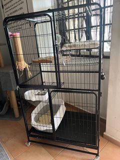 (Category: ) located in . Submitted by MomiaRosa (Listing ID 1294720201, Image 1). Description: .