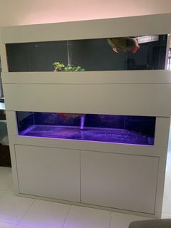 (Category: ) located in . Submitted by acsolutions (Listing ID 1294774991, Image 1). Description: .