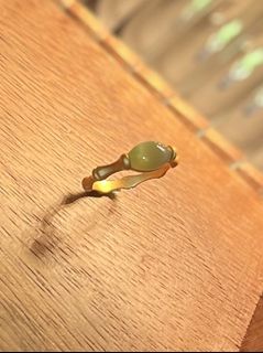 （分類：）位於 。 由 viccat 提交（商品編號 1294700176，圖片 1）。簡介： 。