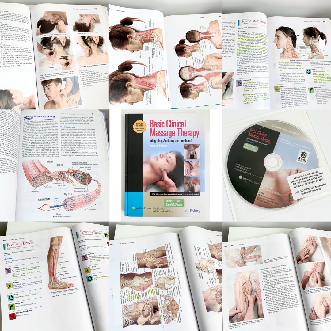 💆🏻‍♀️ Basic Clinical Massage Therapy: Integrating