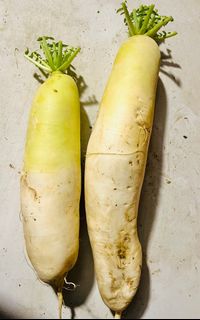 （分類：）位於 。 由 abbalifefarm 提交（商品編號 1294800778，圖片 1）。簡介： 。